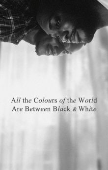 All the Colours of the World Are Between Black and White