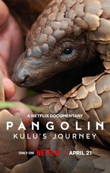 Pangolin: Kulu's Journey