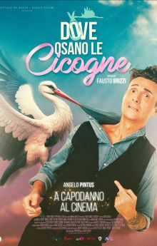 Dove osano le cicogne