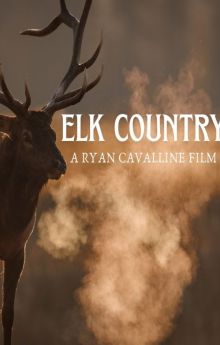 Elk Country
