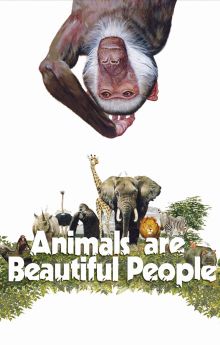 Animals Are Beautiful People