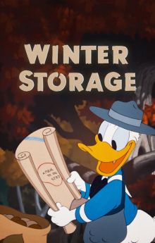 Winter Storage