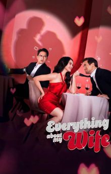 Everything About My Wife