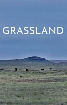 Grassland