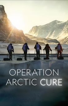 Operation Arctic Cure