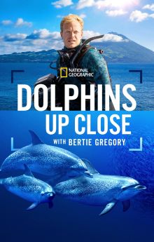 Dolphins Up Close with Bertie Gregory