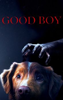 Good Boy